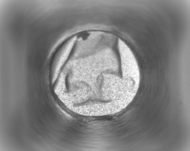 X0000065261504200603172217