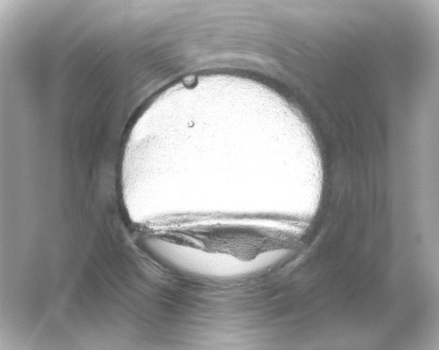 X0000065261505200603172217