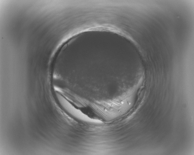 X0000065261506200603172217