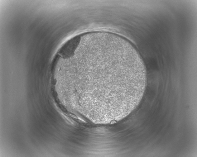 X0000065261507200603172217