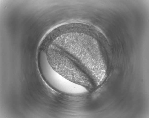 X0000065261508200603172217