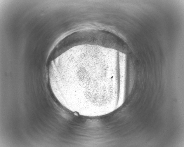 X0000065261509200603172217