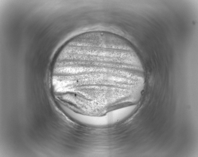 X0000065261510200603172217