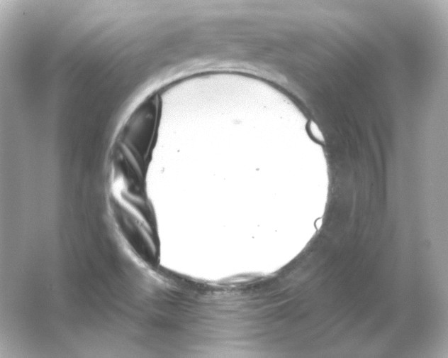 X0000065261511200603172217