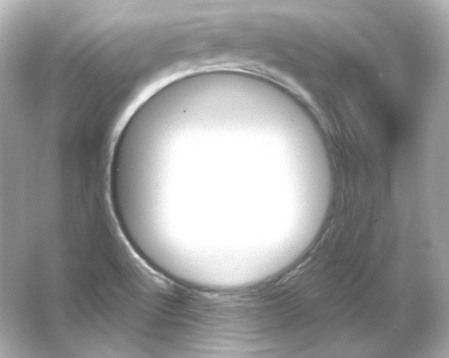 X0000065261512200603172217