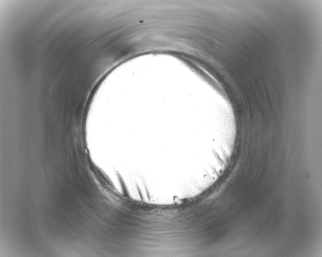 X0000065261513200603172217