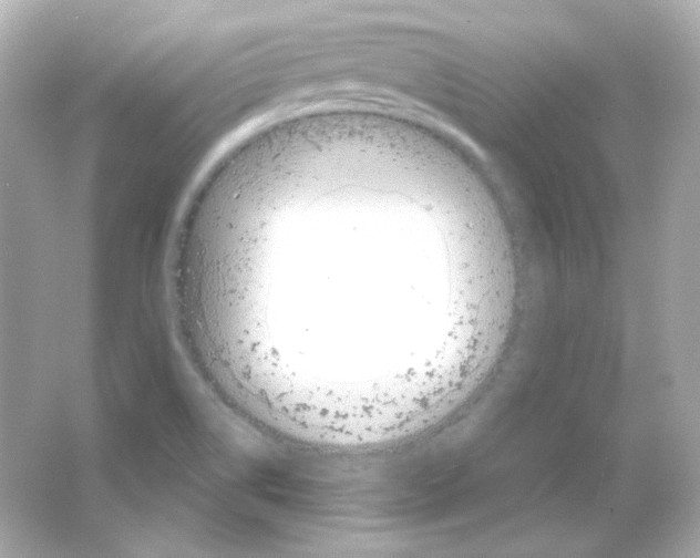 X0000065261514200603172217