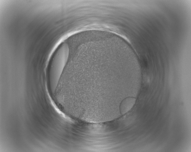 X0000065261515200603172217