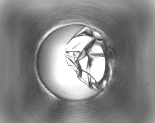 X0000065261518200603172217