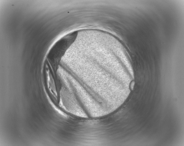 X0000065261519200603172217