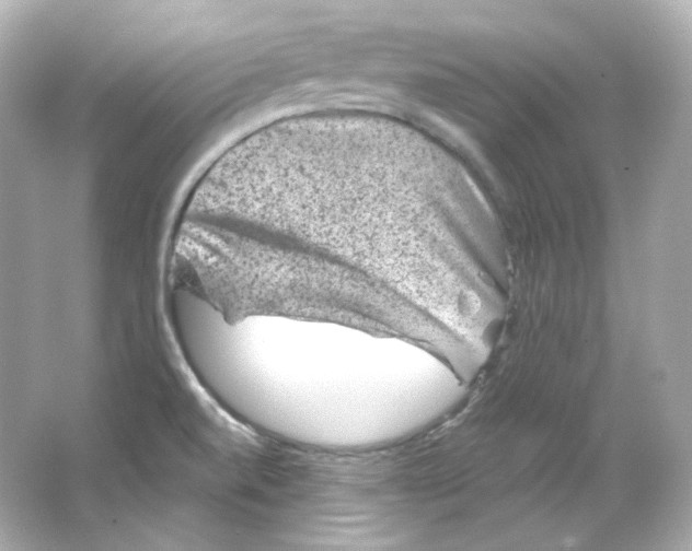 X0000065261520200603172217