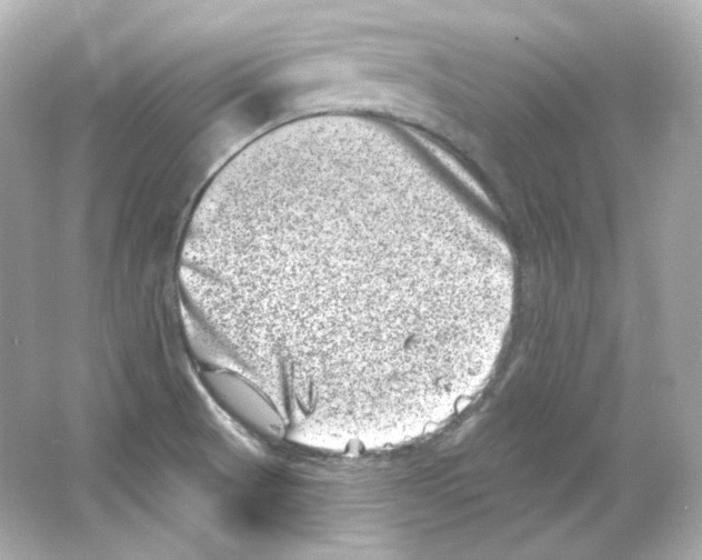 X0000065261521200603172217