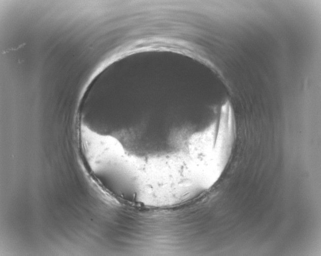 X0000065261522200603172217