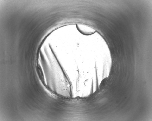 X0000065261523200603172217