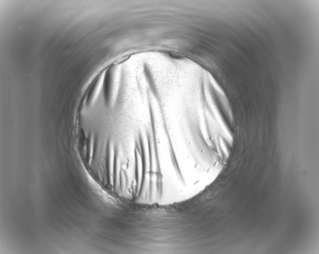 X0000065261524200603172217