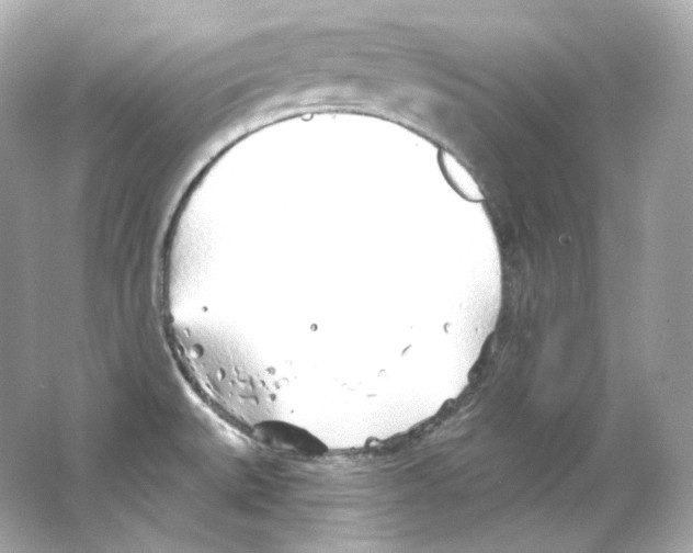 X0000065261527200603172217