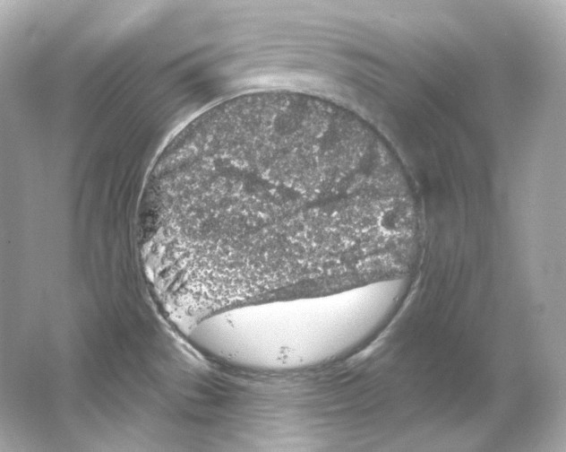 X0000065261529200603172217