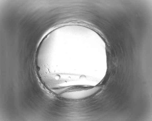 X0000065261530200603172217