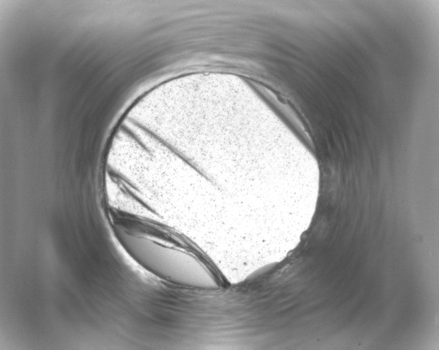 X0000065261531200603172217