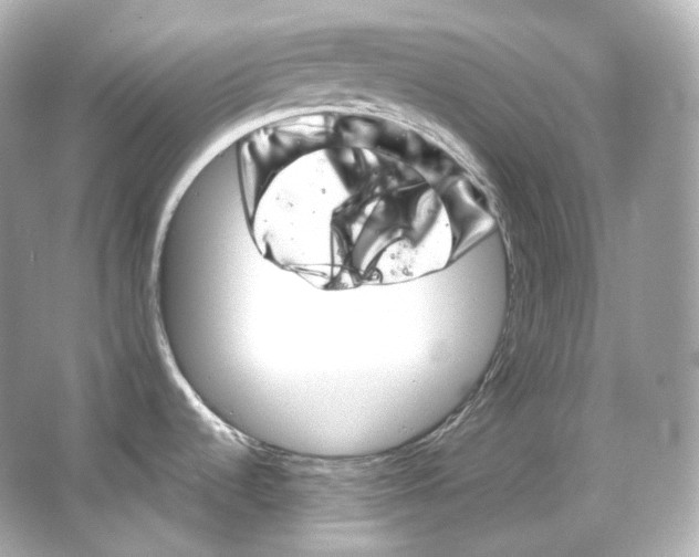 X0000065261536200603172217