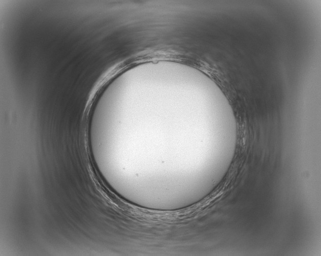 X0000065950004200603030915