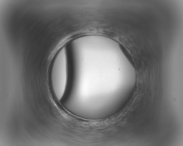 X0000065950005200603030915