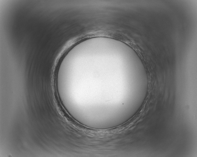 X0000065950006200603030915
