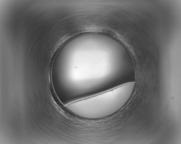 X0000065950011200603030915