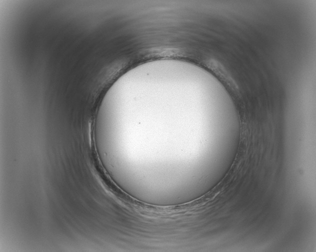 X0000065950014200603030915