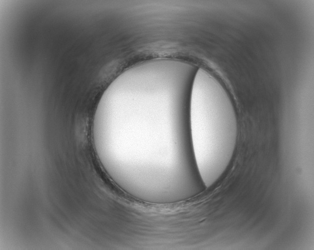 X0000065950018200603030915