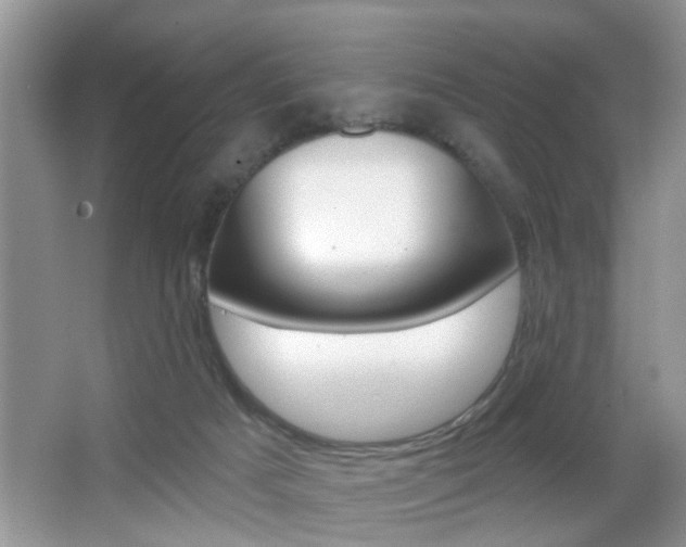 X0000065950025200603030915