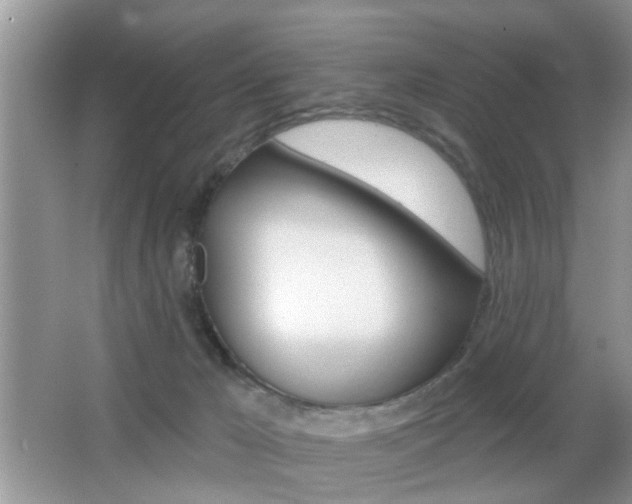X0000065950029200603030914