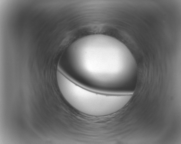 X0000065950035200603030914
