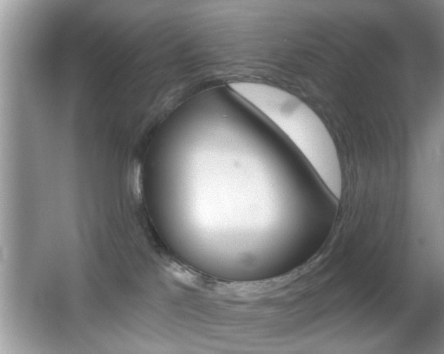 X0000065950041200603030914