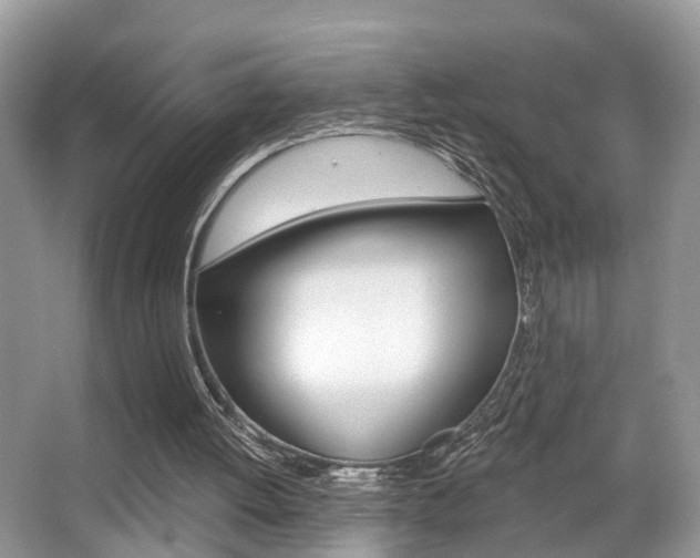 X0000065950052200603030913