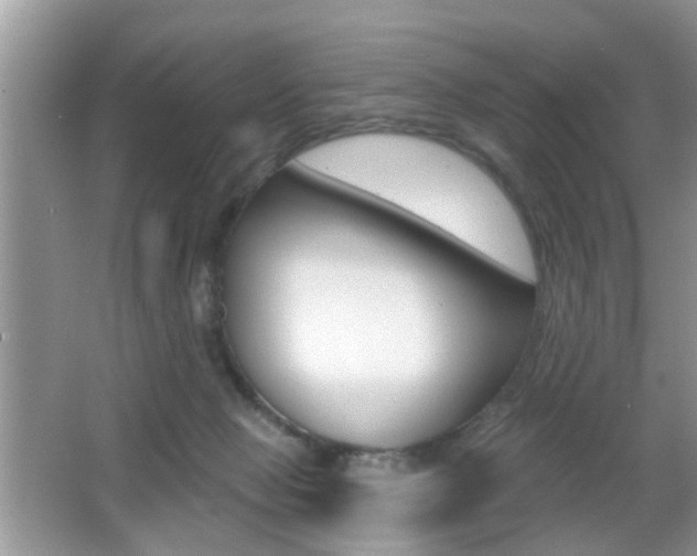 X0000065950077200603030914