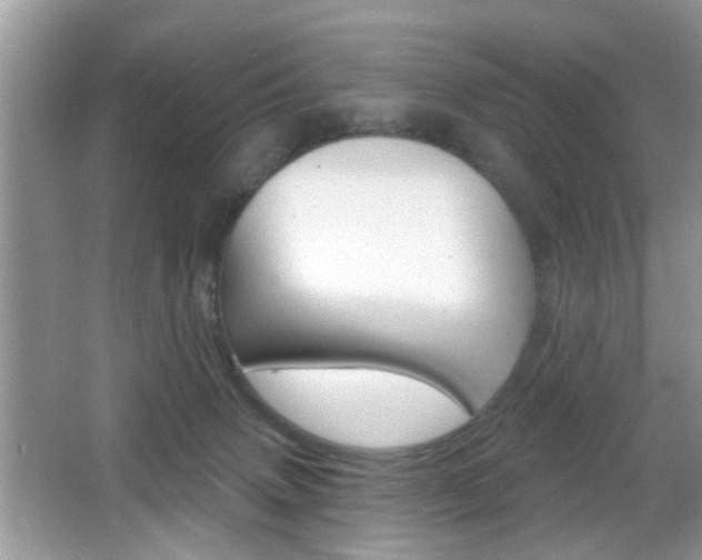 X0000065950083200603030914