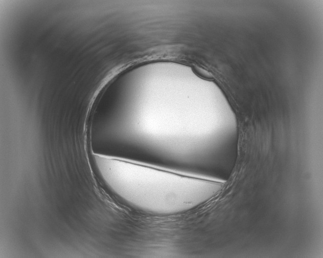 X0000065950100200603030913