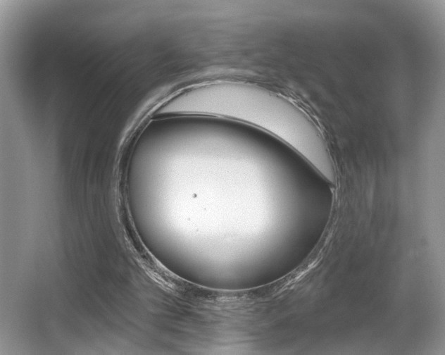 X0000065950101200603030913
