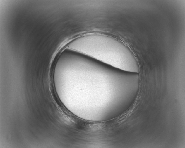 X0000065950102200603030913
