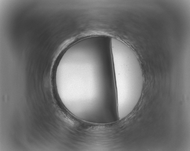 X0000065950104200603030913