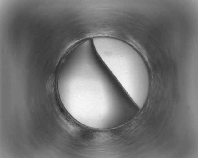 X0000065950107200603030913