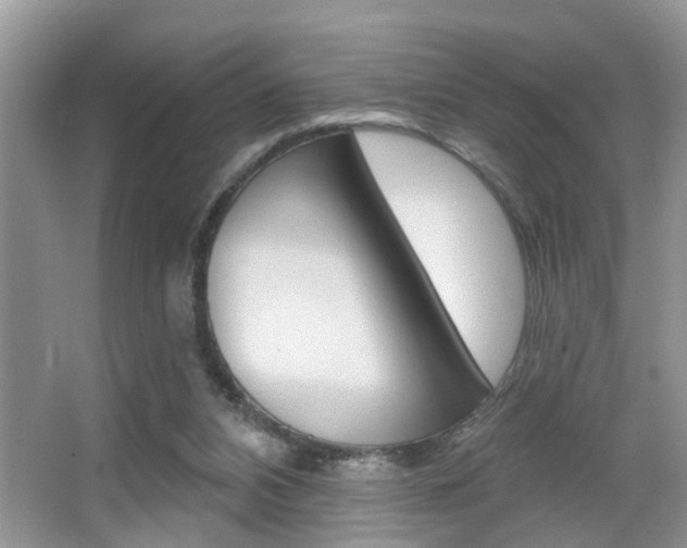 X0000065950112200603030913