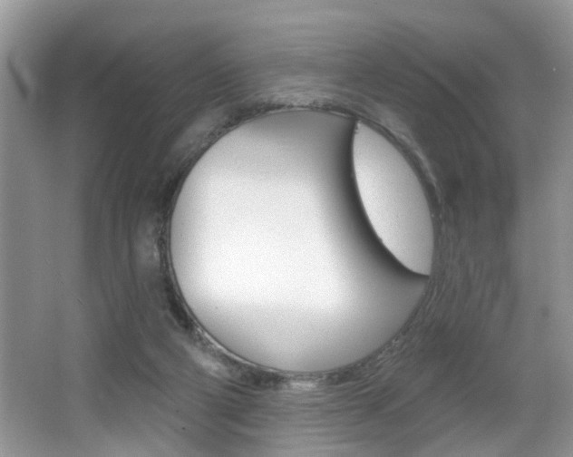 X0000065950114200603030913