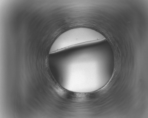 X0000065950144200603030913