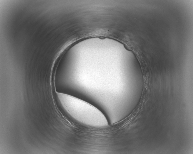 X0000065950196200603030912