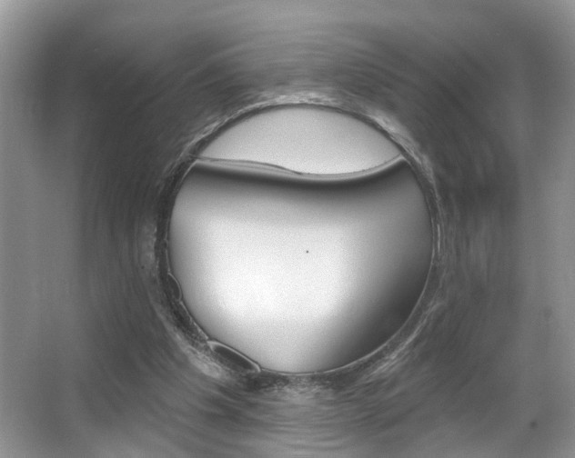 X0000065950201200603030912