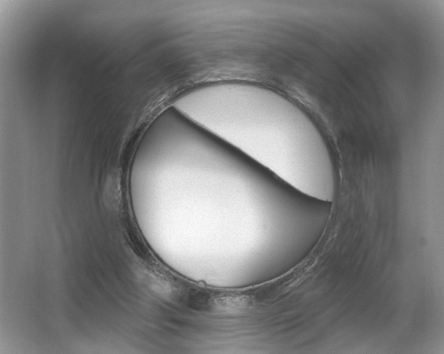 X0000065950202200603030912