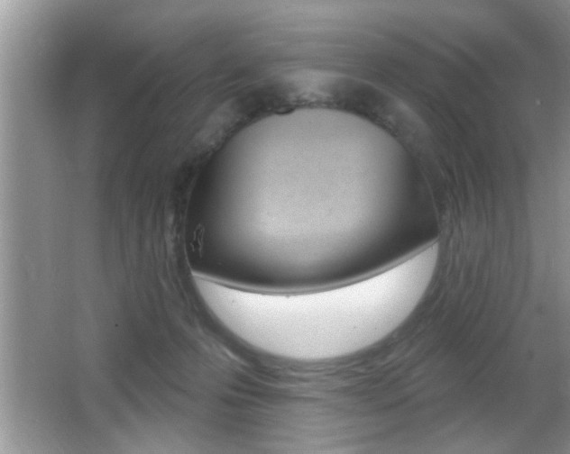 X0000065950223200603030911
