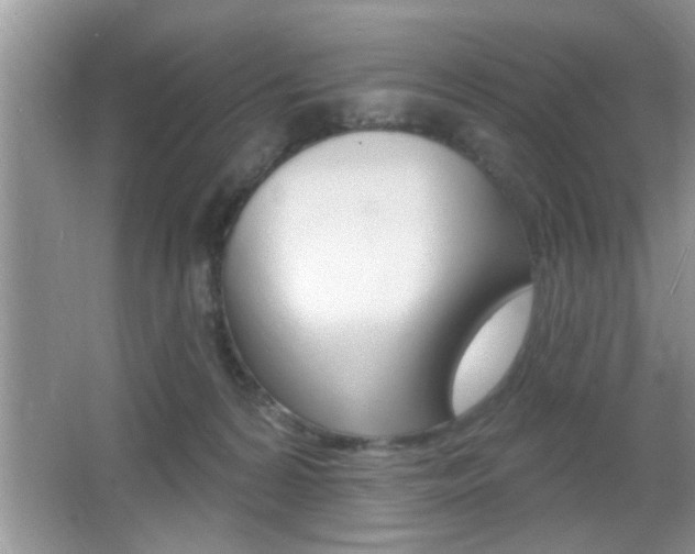 X0000065950224200603030911